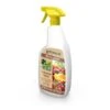EDIALUX Colzasect Spray Groenten En Fruit 2 EDIALUX Colzasect Spray Groenten En Fruit -BSI Planten Winkel 1613746731 1 600