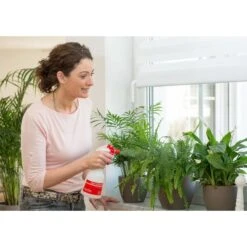 Birchmeier Foxy Plus -BSI Planten Winkel birchmeier foxy plus 1496510253 2 600