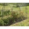 Fruitkooi Lang 3 × 1 × 1,5 M 2 Fruitkooi Lang 3 × 1 × 1,5 M -BSI Planten Winkel fruitkooi 3 x 1 x 15m 1484054956 1 600