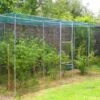 Fruitkooi Walk-in - 360 × 180 × 200 Cm -BSI Planten Winkel fruitkooi walkin 65 m 1678888704 1 600
