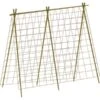 Groeinet Bonen En Erwten 1,8 × 1,8 M 1 Groeinet Bonen En Erwten 1,8 × 1,8 M -BSI Planten Winkel groeinet bonen 18 x 18 m 1531226378 2 600