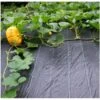 Gronddoek 3 × 6 M (90 G/m²) -BSI Planten Winkel gronddoek 3 x 6 m 90 gm 1615194890 1 600