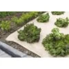 Gronddoek Jutevilt JUTESOL 10 × 0,8 M -BSI Planten Winkel gronddoek jutevilt 10 x 08 m 1545906611 1 600