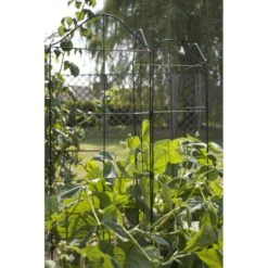 Klimplantensteun - Moduleerbare Steunpanelen -BSI Planten Winkel klimplantensteun rekken 1549797641 2 600