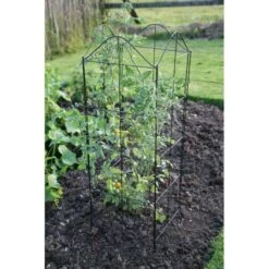 Klimplantensteun - Moduleerbare Steunpanelen -BSI Planten Winkel klimplantensteun rekken 1549797641 3 600