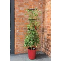 Tomatentoren Met Bewateringssysteem - 150 Cm -BSI Planten Winkel klimplantentoren met bewateringssysteem 1519074088 1 600
