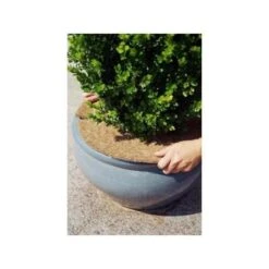 Kokos Afdekring - Ø 25 Cm -BSI Planten Winkel kokos afdekring 25 cm 1607083751 2 600