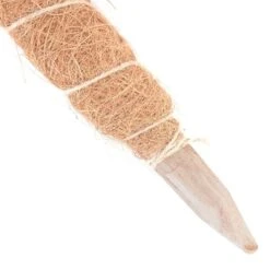 Kokos Kamerplantensteun - Plantstok Ø45 Mm × 1 M -BSI Planten Winkel kokos plantensteun 45 mm x 1 m 1622717806 4 600