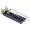 Kweekset Vensterbank - 20 Cellen -BSI Planten Winkel kweekset vensterbank 20 cellen 1497861090 1 600