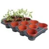 Tray Met 12 Ronde Potten Van 11 Cm -BSI Planten Winkel kweektray 12 potjes 11 cm 1484055981 1 600