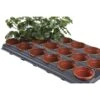 Tray Met 18 Ronde Kweekpotten 9 Cm -BSI Planten Winkel kweektray 18 potten 9 cm 1484055982 1 600