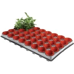 Tray Met 40 Kweekpotjes 6 Cm -BSI Planten Winkel kweektray 40 potjes 6 cm 1599819541 1 600