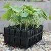 Kweektray Deep Roots - 32 Cellen -BSI Planten Winkel kweektray deep roots 32 cellen 1487673472 0 600