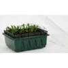 Kweektray Compact Rapid Root - 20 Cellen -BSI Planten Winkel kweektray rapid root 20 cellen 1487670094 0 600