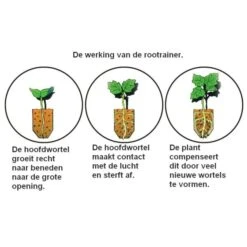 Kweektray Compact Rapid Root - 20 Cellen 10 Kweektray Compact Rapid Root - 20 Cellen -BSI Planten Winkel kweektray rapid root 20 cellen 1487680624 0 600