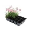 Kweektrays 15 Cellen - Professioneel - Set Van 5 Stuks 2 Kweektrays 15 Cellen - Professioneel - Set Van 5 Stuks -BSI Planten Winkel kweektrays 15 cellen professioneel 1497948812 1 600