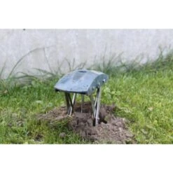 Mollenklem - Innovatief En Robuust 9 Mollenklem - Innovatief En Robuust -BSI Planten Winkel mollenklem mollenijzer 1484062617 4 600