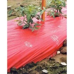Rode Folie Voor Een Betere Plantengroei -BSI Planten Winkel mulchfolie 1577621345 1 600