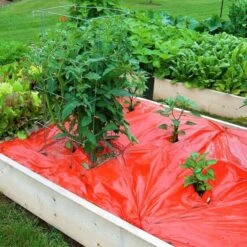 Rode Folie Voor Een Betere Plantengroei -BSI Planten Winkel mulchfolie 1577621986 1 600