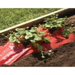 Rode Folie Voor Een Betere Plantengroei -BSI Planten Winkel mulchfolie rood aardbeien en tomaten 1492072043 1 600