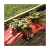 Rode Folie Voor Een Betere Plantengroei -BSI Planten Winkel mulchfolie rood aardbeien en tomaten 1577620678 1 600