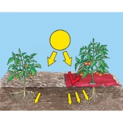 BSI Planten Winkel -BSI Planten Winkel mulchfolie rood aardbeien en tomaten 1577620679 2 600