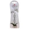 Orchideeenclips Transparant - Set Van 2 Stuks -BSI Planten Winkel orchideenclips transparant 1619781359 1 600