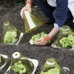 Kunstof PET Plantenhoed - Geel - Set Van 12 Stuks 5 Kunstof PET Plantenhoed - Geel - Set Van 12 Stuks -BSI Planten Winkel plantenhoed geel 1597067271 2 600