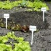 Plantenbordjes Extra Hoog - Set Van 5 Stuks -BSI Planten Winkel plantenlabels wit 1484056717 1 600