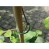 Plantenringen - Groen - Set Van 25 Stuks -BSI Planten Winkel plantenringen groen 1511170706 1 600
