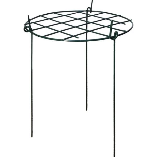 Plantensteun Groeiraster 41 × 61 Cm 3 Plantensteun Groeiraster 41 × 61 Cm