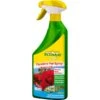 Ecostyle Pyrethro-Pur Gebruiksklare Bio-insecticide 750 Ml -BSI Planten Winkel pyrethro spray bio gebruiksklaar 750 ml 1484062765 1 600