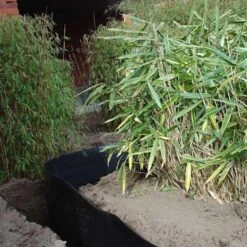 Rootblock Professionele Wortelwering 60 Cm Hoog - / Strekkende Meter -BSI Planten Winkel rootblock professionele wortelwering 1552733360 3 600