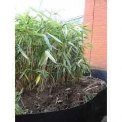 Rootblock Professionele Wortelwering 60 Cm Hoog - / Strekkende Meter -BSI Planten Winkel rootblock professionele wortelwering 1552733360 5 600