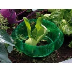 Slakken Beschermringen - Set Van 6 Stuks -BSI Planten Winkel slakken beschermingsringen 1484053655 3 600