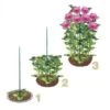Steunringen Voor Planten Ø 30 Cm - Kunststof - Set Van 2 Stuks -BSI Planten Winkel steunringen 1490175532 1 600