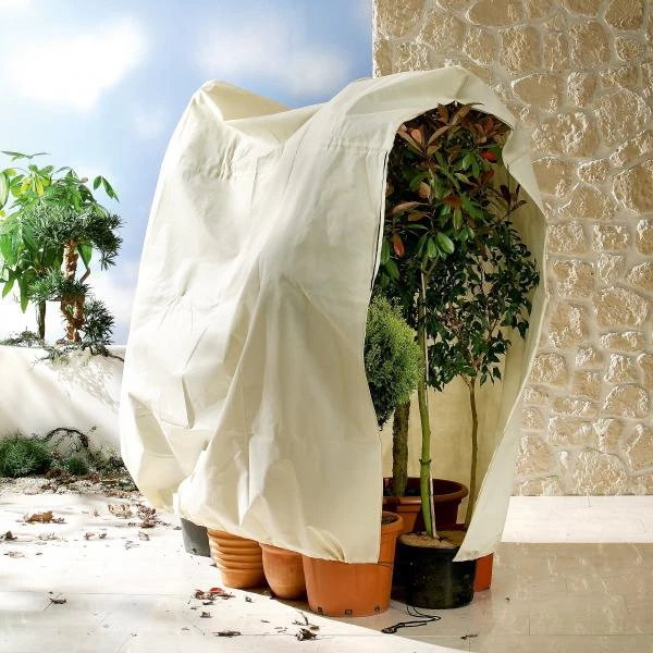 Thermobeschermhoes Jumbo Voor Planten - 240 × 200 Cm 4 Thermobeschermhoes Jumbo Voor Planten - 240 × 200 Cm - Afbeelding 2