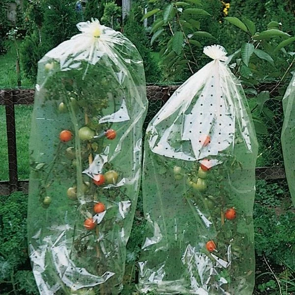 Tomatenhoezen 10 × 0,65 M 3 Tomatenhoezen 10 × 0,65 M
