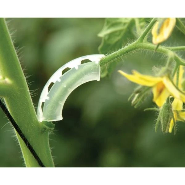 Tomaten Trossteun Wit - Set Van 100 Stuks 4 Tomaten Trossteun Wit - Set Van 100 Stuks - Afbeelding 2