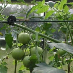 Tree-fix Boombinder 8 Cm - Set Van 50 Stuks -BSI Planten Winkel treefix boombinder 8 cm 1547125995 3 600