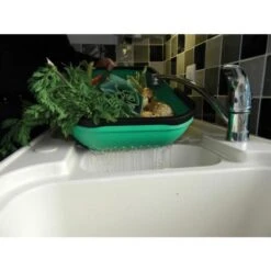 Verzamelmand - Groente En Fruit -BSI Planten Winkel verzamelmand groente en fruit 1511169935 5 600