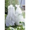 Tomatenhoes Vliesdoek - 1,2 × 10 M 1 Tomatenhoes Vliesdoek - 1,2 × 10 M -BSI Planten Winkel vlieshoes 12 x 10 meter 1484057059 1 600