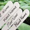Waterbestendige Stift Zwart Voor Plantenlabels -BSI Planten Winkel waterbestendige stift zwart 1484062288 2 600