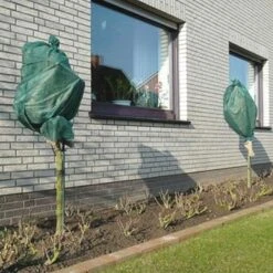 Rozen Winterhoezen - Groen - Set Van 2 Stuks -BSI Planten Winkel winterhoes rozen groen 1484054071 3 600