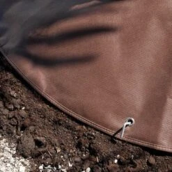 Beschermhoes Voor Wortel Palmboom 10 Beschermhoes Voor Wortel Palmboom -BSI Planten Winkel wortelbescherming palmboom 1484056031 4 600